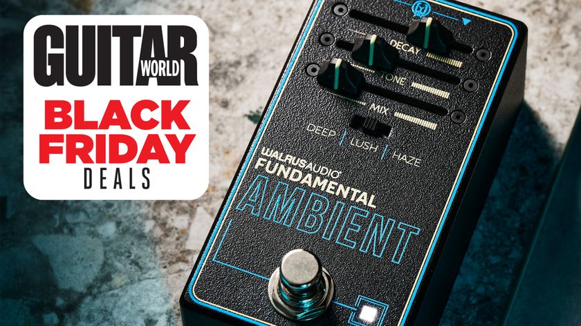 Walrus Audio Fundamental Ambient