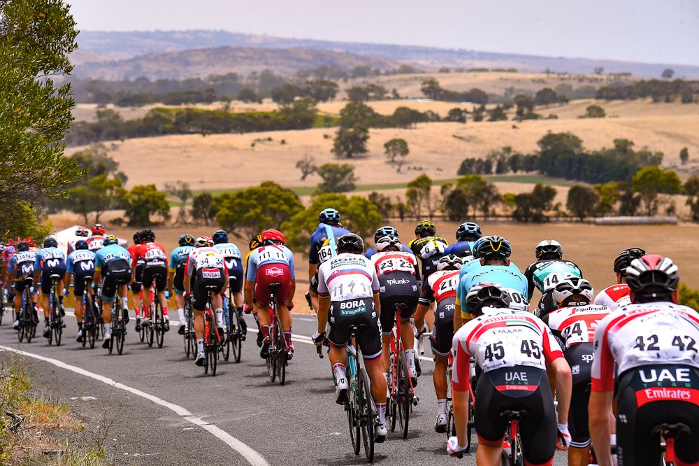 The Tour Down Under peloton during stage 2