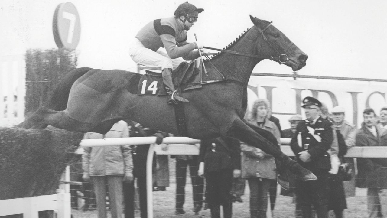 Dawn Run jumps a steeplechase fence. Black and white photo