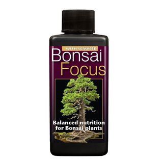 Bonsai tree fertiliser 
