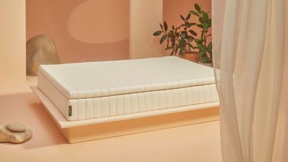 Earthfoam mattress topper in peach colored room with organic shapes and accessories 
