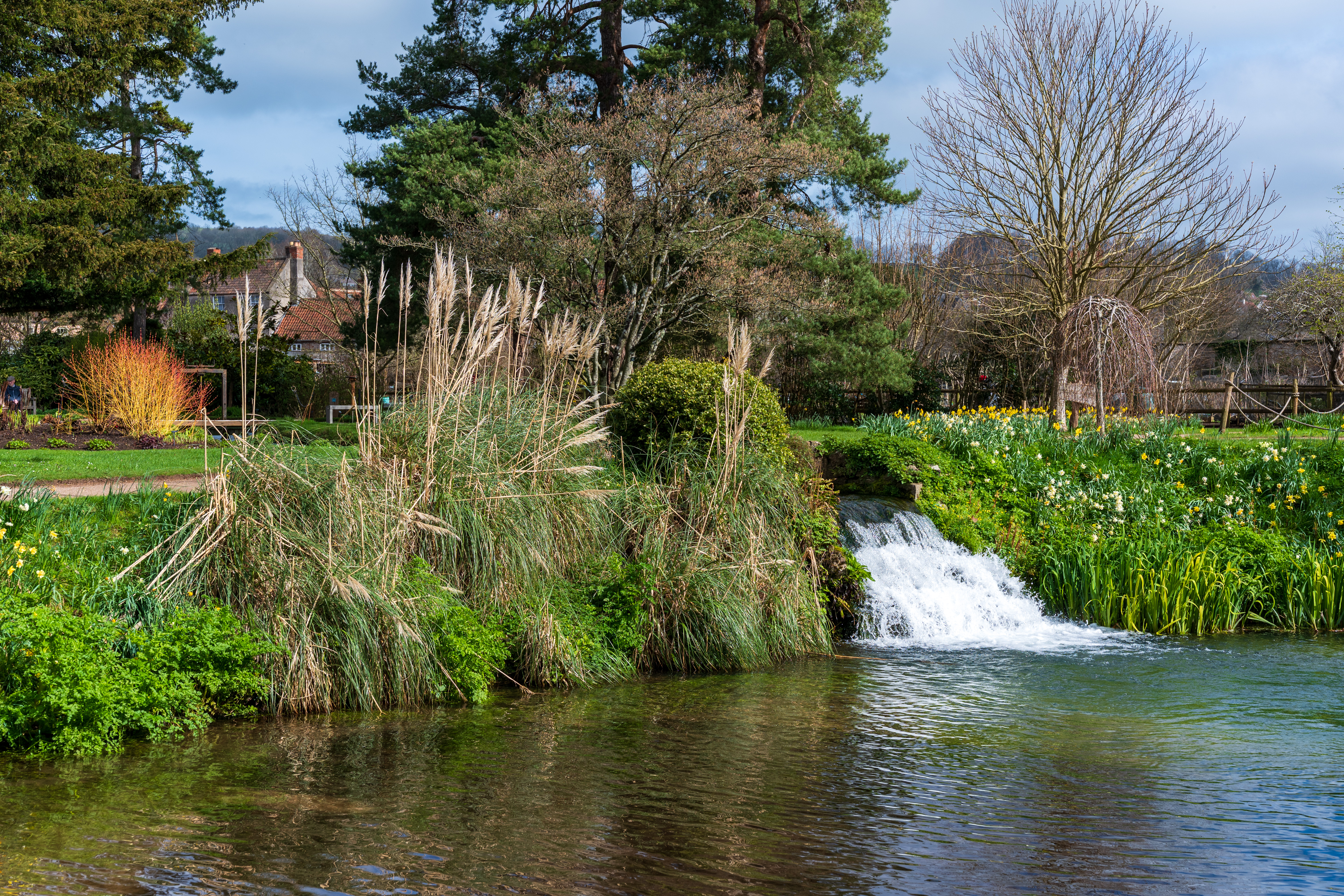 Viltrox AF 55mm f/1.8 Evo sample image