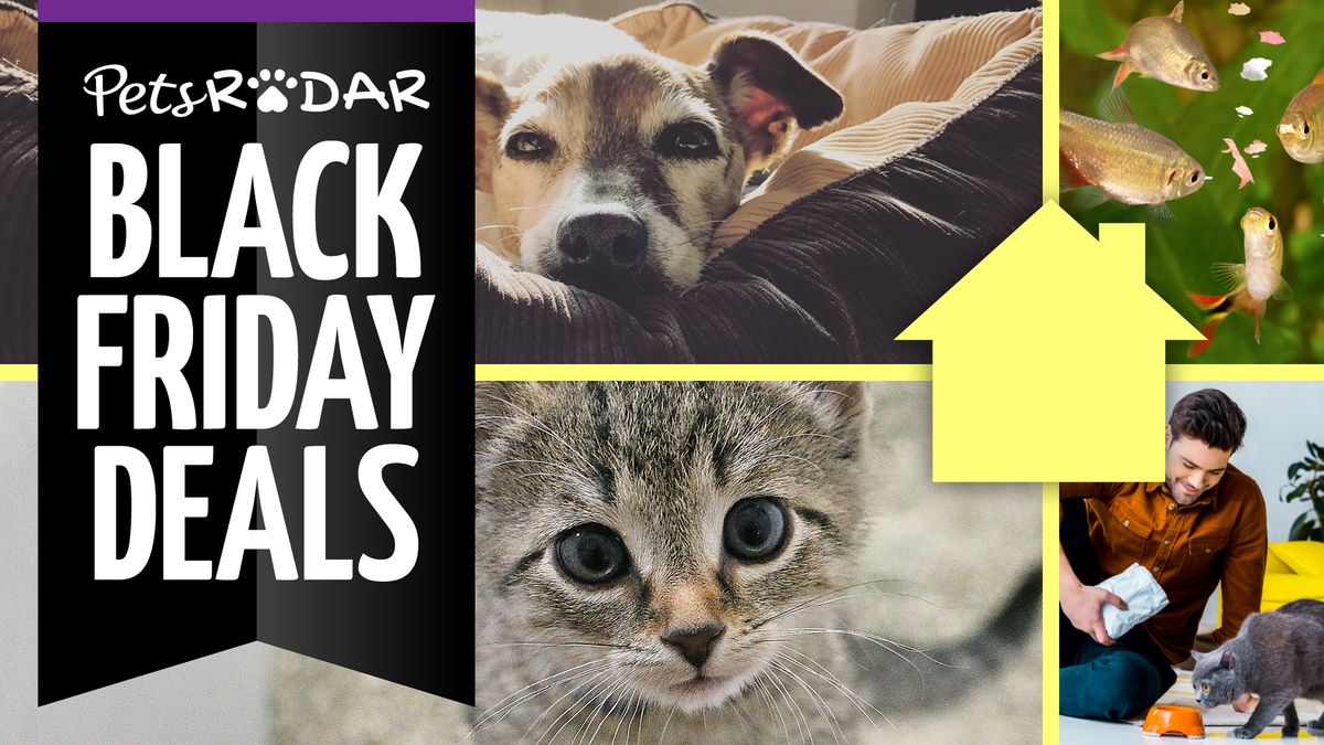 We re all pet parents and here are the best Black Friday pet deals we ve got our eyes on PetsRadar