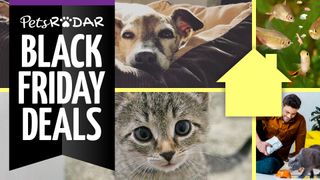 Black Friday pet deals image displaying PetsRadar logo alongside dog and cat