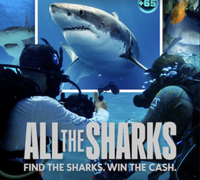 All the Sharks | Netflix | July 4 | All episodes available
