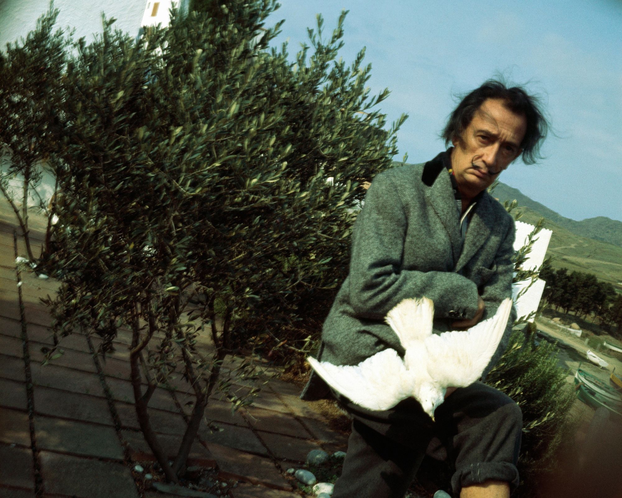 salvador dali in his spanish garden