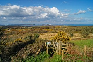 M49N4J UK,Dorset,Isle of Purbeck,Newtown Viewpoint with Isle of Purbeck Golf Club,Godlingston Heath & Poole Harbour in distance