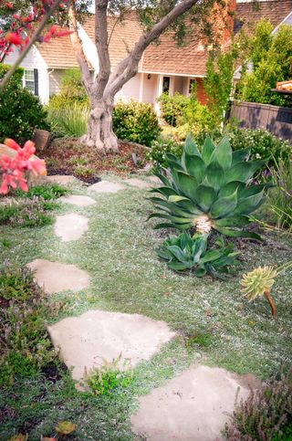 planting and cobblestone path in a front garden