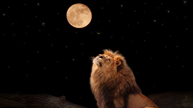 February full moon 2022 in Leo, image of lion and the full moon.