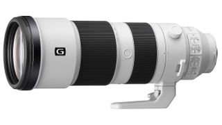 Best Sony lens: Sony FE 200-600mm F5.6-6.3 G OSS