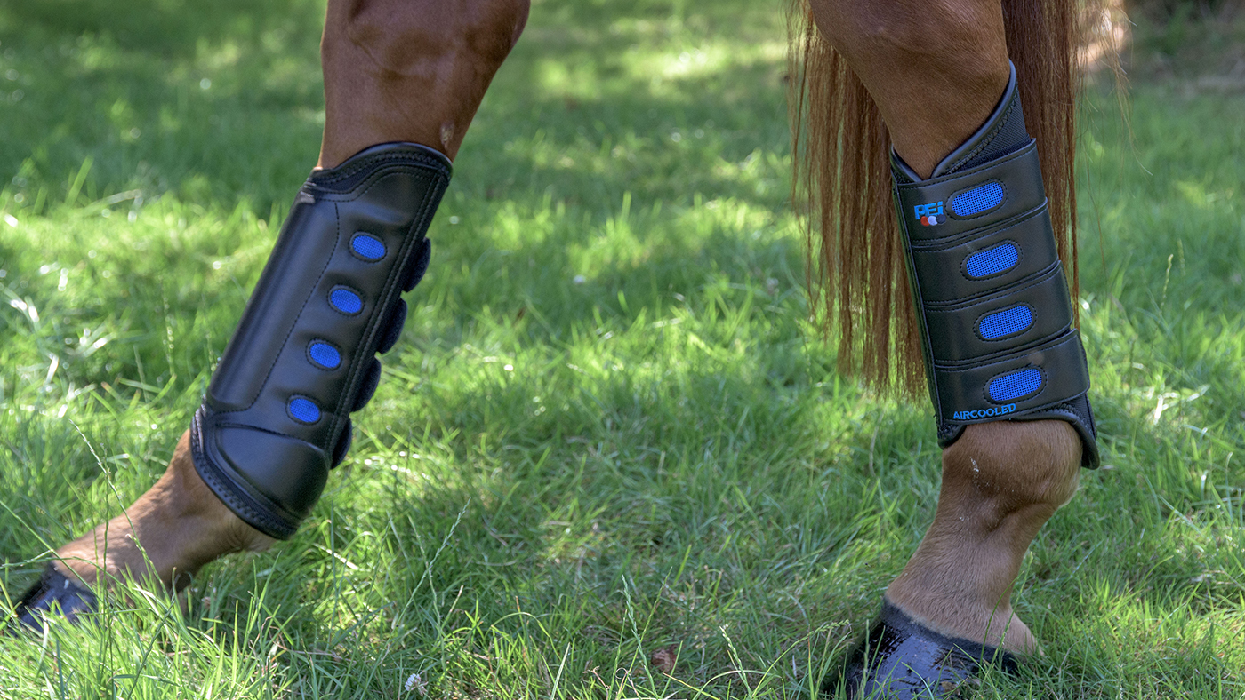 cross-country boots types of horse boots