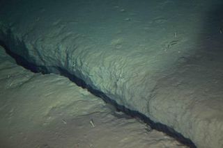Crack in seafloor cause by March 2011 Japan earthquake
