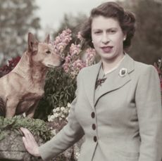 Queen Elizabeth with dogs at Balmoral