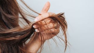 A close up of a woman holding the ends of her brown hair in her hand