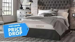The Saatva Loom & Leaf mattress on a bed in a stylish bedroom, with a Tom's Guide badge overlaid saying 'PRICE DROP'