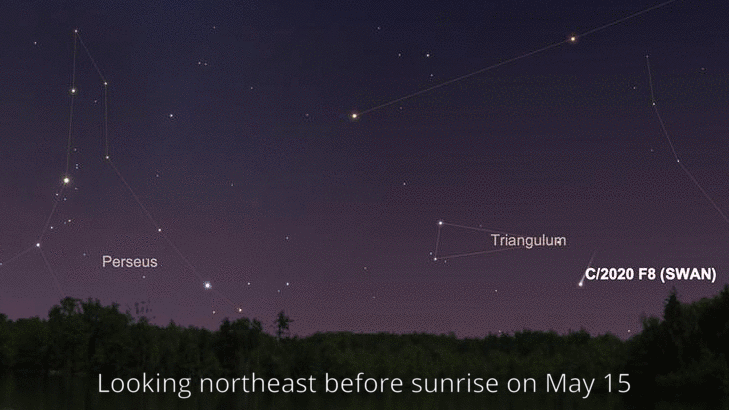This animation shows the position of Comet C/2020 F8 SWAN in the morning sky from May 15 to May 24, looking northeast about one hour before sunrise.