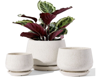 three grey plant pots