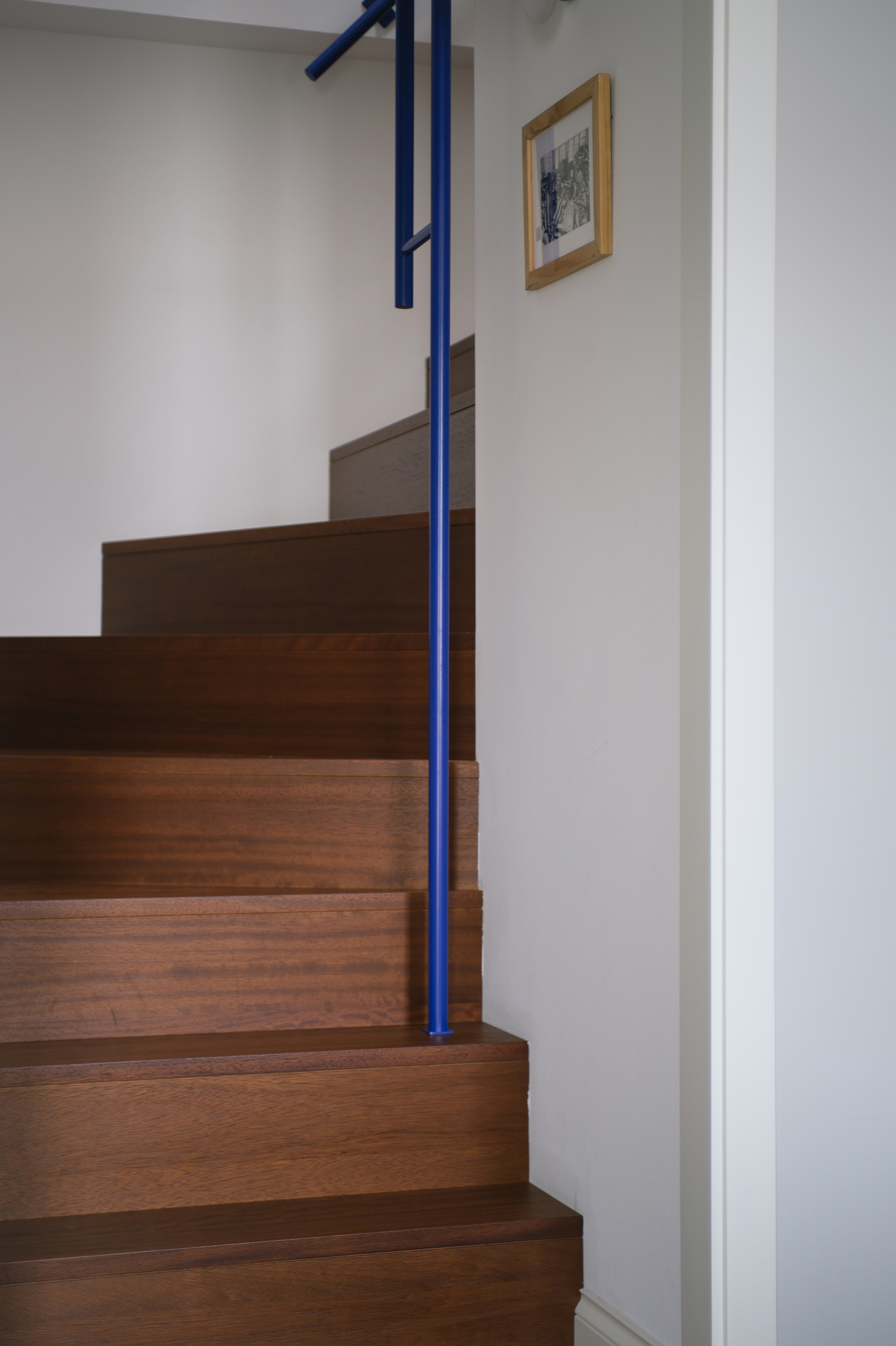 Image of a hardwood staircase with white walls and electric blue handrails. There is one small, gold-framed photo on the wall.