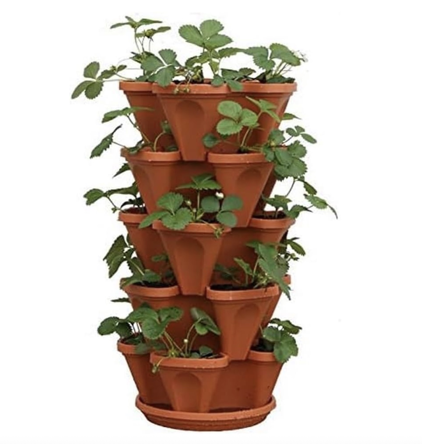 strawberry stacker pot with plants