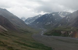 East fork of the Toklat Glacier