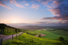 South Downs travel guide