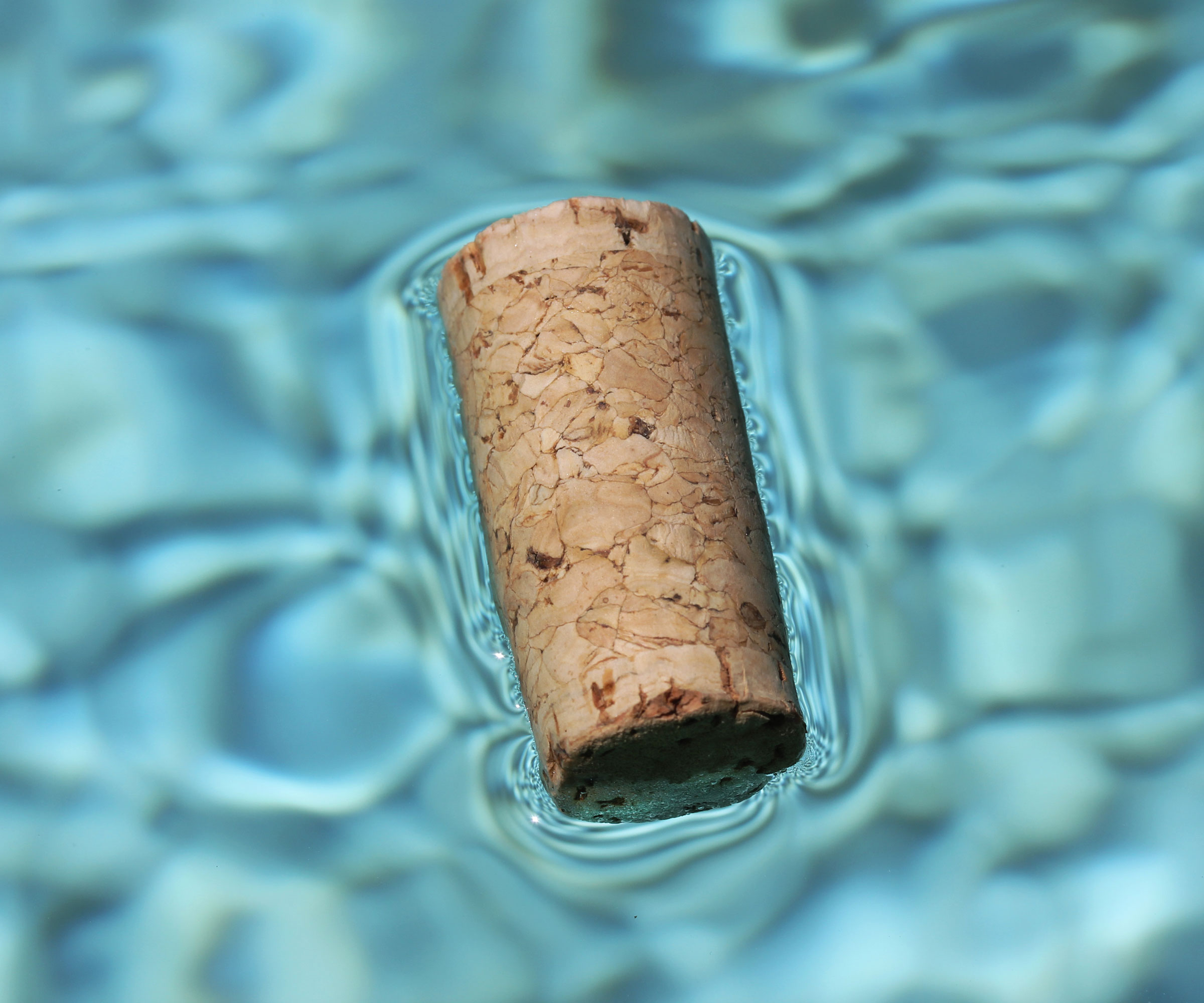 wine cork floating on water in garden bath