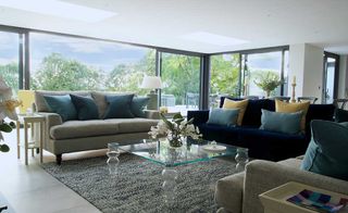 bright-living-room-with-glazing