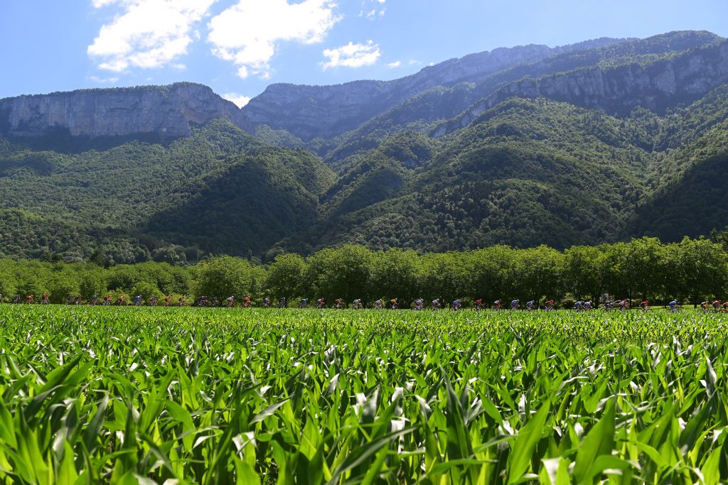 GAP FRANCE JUNE 10 A general view of the peloton passing through a landscape during the 74th Criterium du Dauphine 2022 Stage 6 a 1964km stage from Rives to Gap 742m WorldTour Dauphin on June 10 2022 in Gap France Photo by Dario BelingheriGetty Images