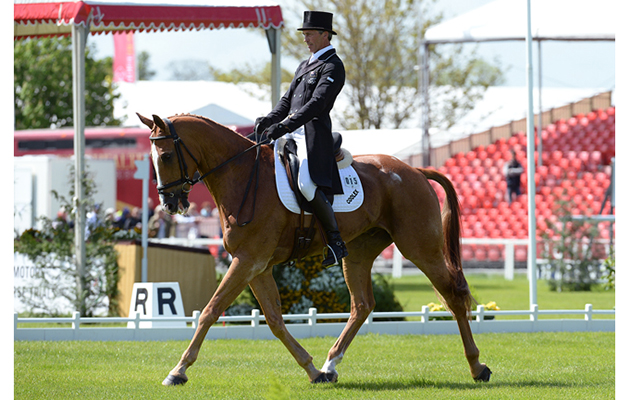 Andrew Nicholson (NZL) riding Nereo during the Dressage phase of The Mitsubishi Motors Badminton Horse Trials at Badminton in Gloucestershire, UK; on 7th May 2015