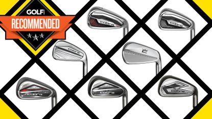 best cobra irons