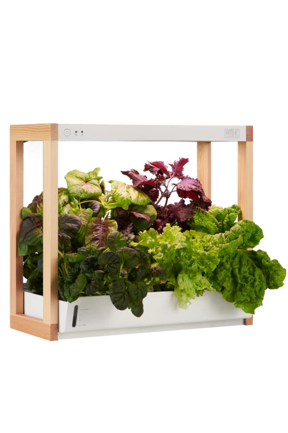 hydroponic garden