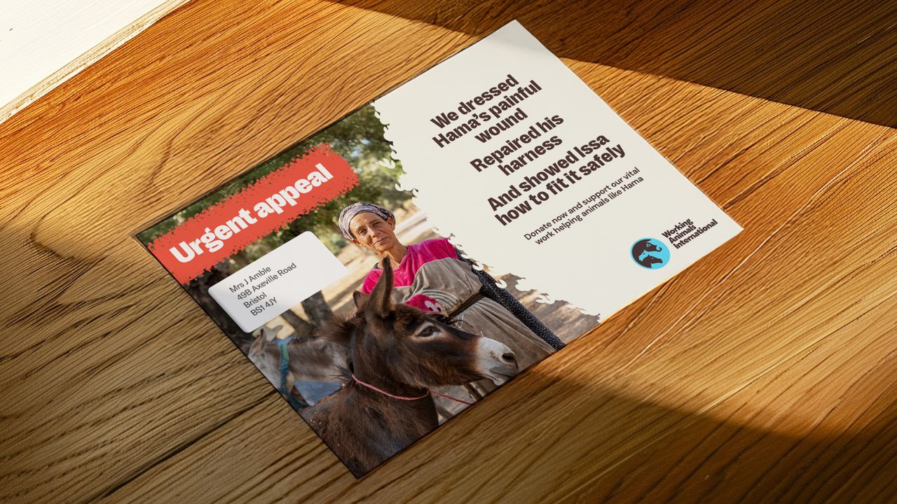 Working Animals International new branding