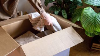 Someone putting a folded up jumper into a cardboard box next to a large houseplant