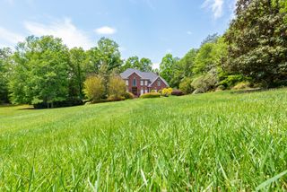 tall fescue with house in background
