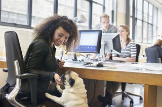 Woman stroking a dog while working in an office