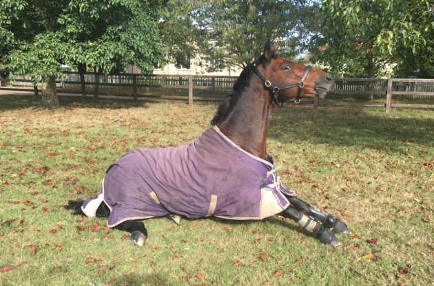 Cash enjoying his winter break
