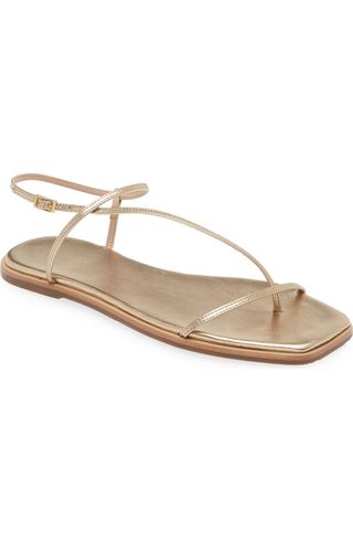 Alayta Ankle Strap Sandal