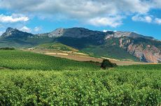 Sierra-LC-Cantabria-and-vineyards.jpg