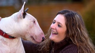 Adoring look between bull terrier and owner