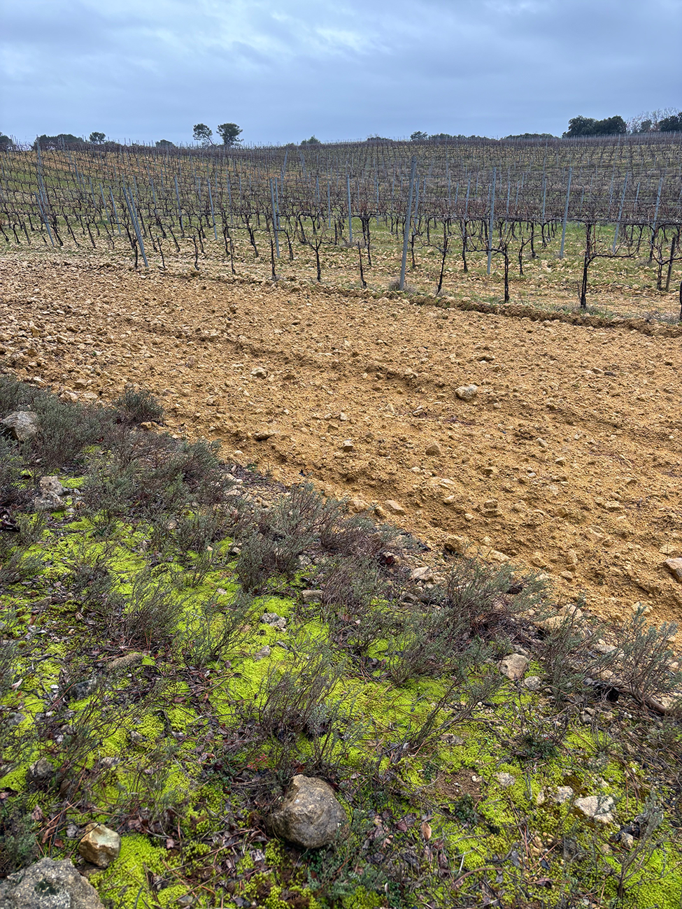 Ch&amp;acirc;teau la Borie