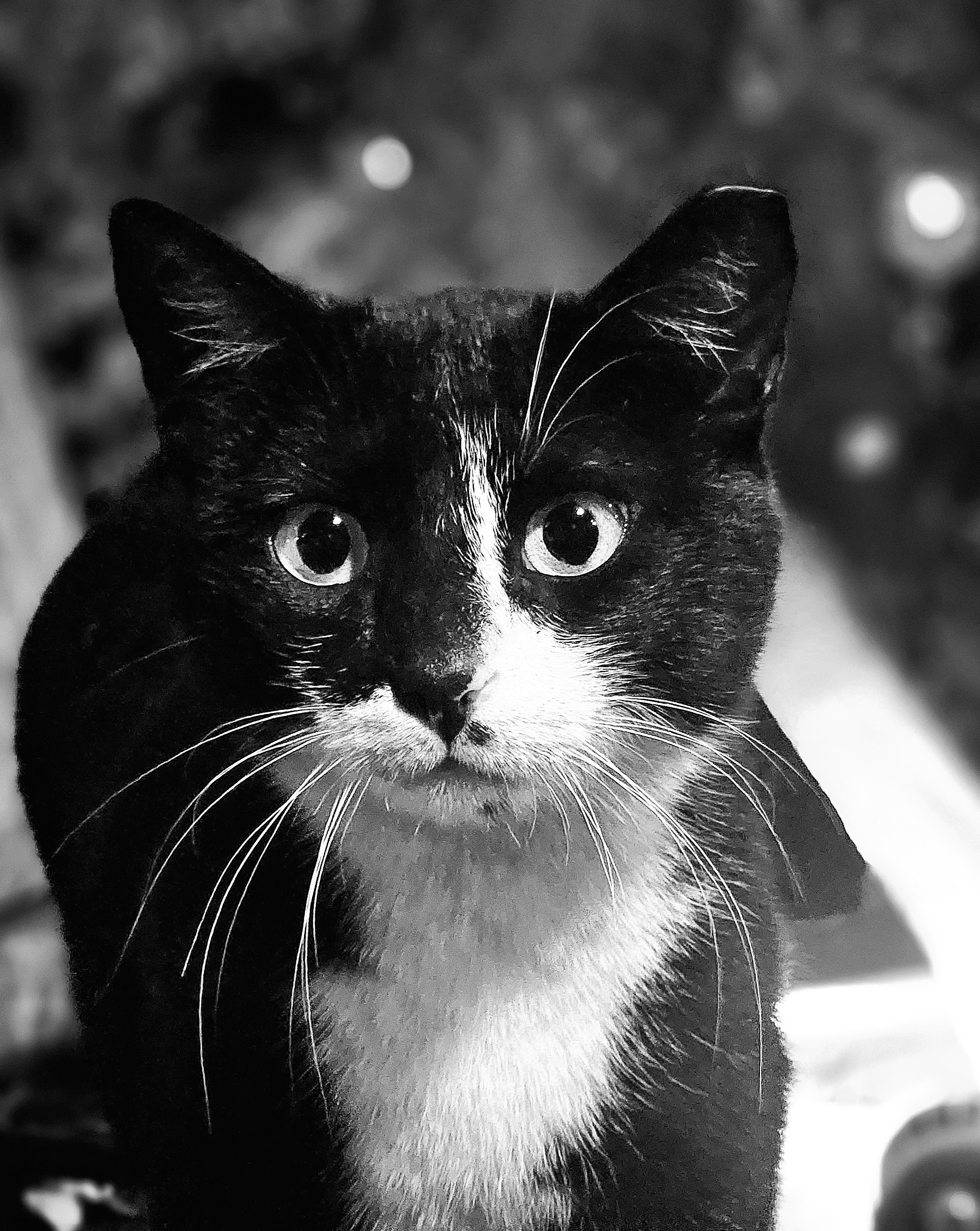 GuruShots - Powerful Black & White Jan 26