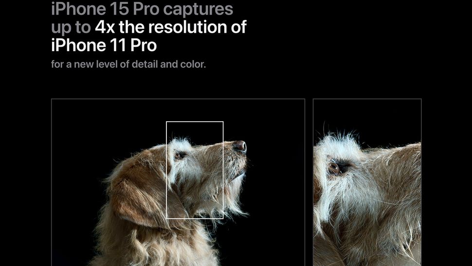 I tried Apple's new iPhone comparison tool, but it didn't convince me