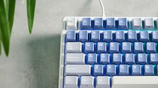 A Royal Kludge M75 wireless mechanical keyboard with blue keycaps