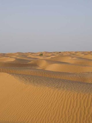 sahara-desert-100714-02