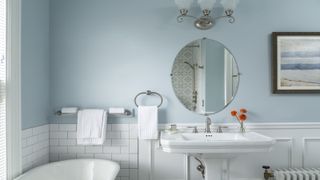 light blue painted walls in traditional-style bathroom