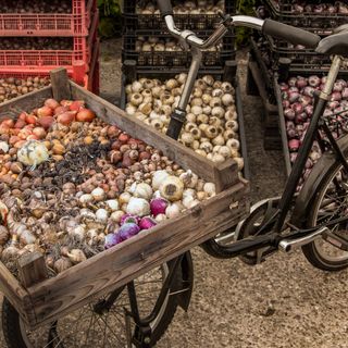rotten onions in hand cart cycle