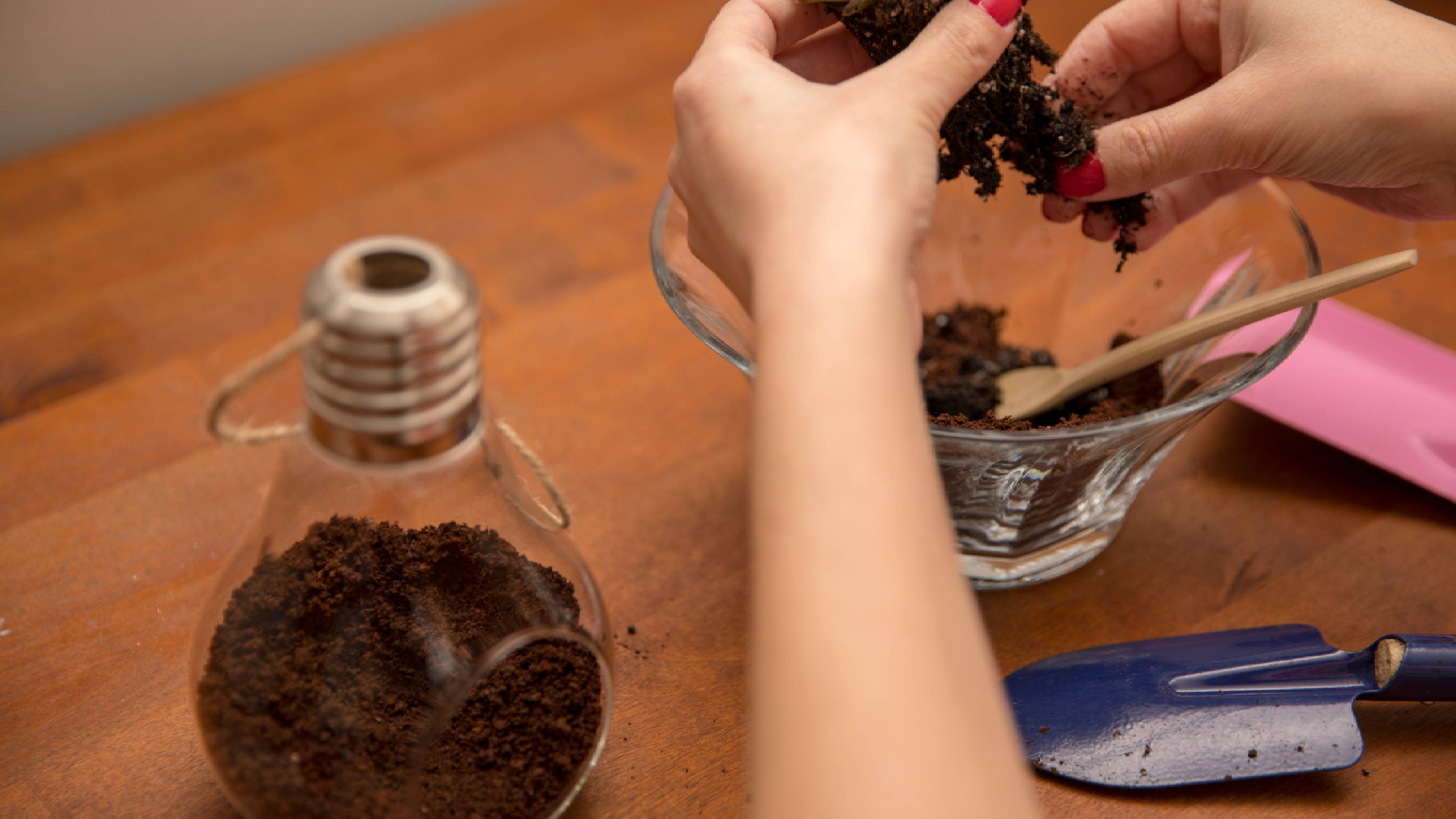 Glass terrarium filled with potting mix
