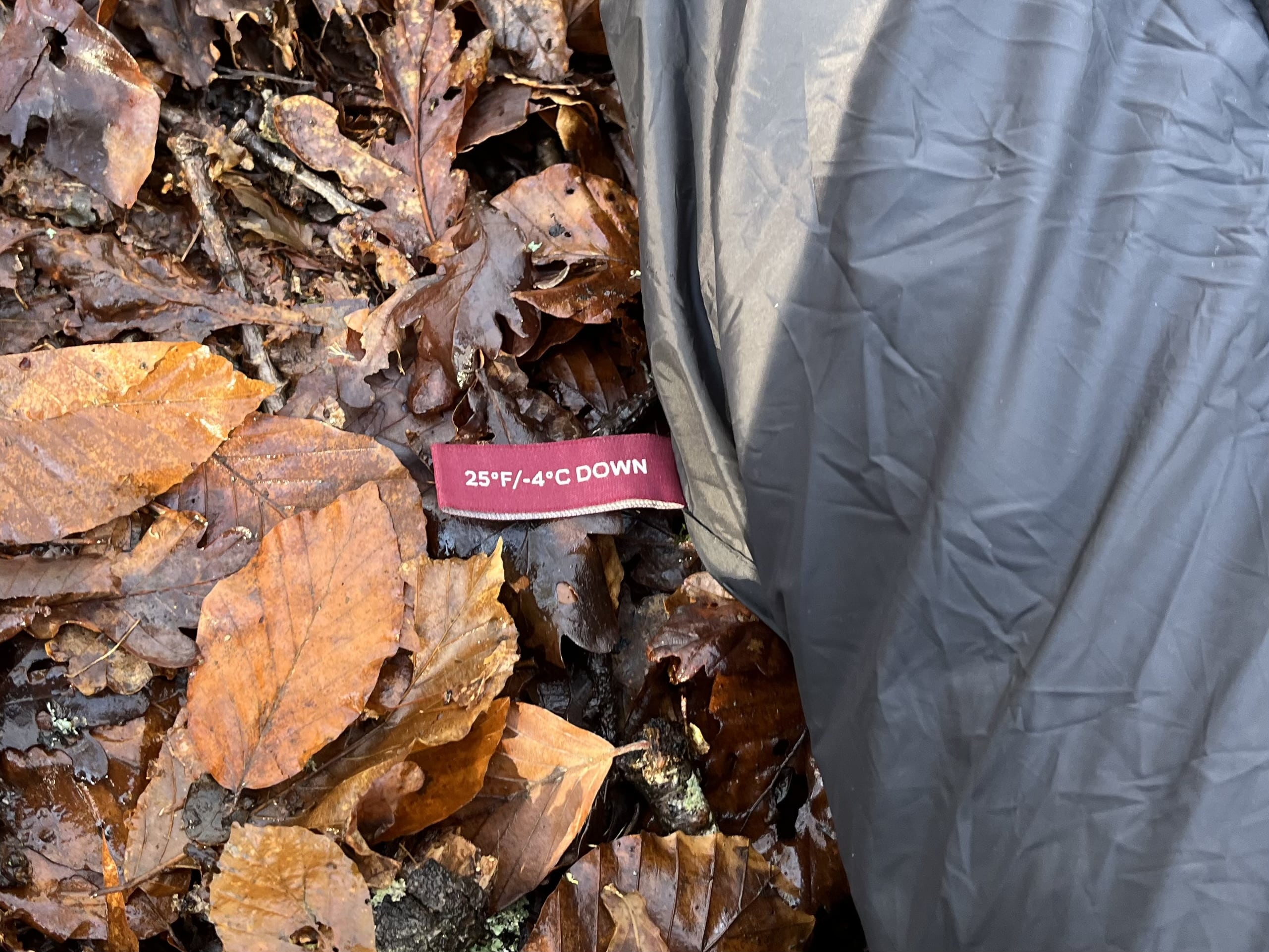 Zenbivy Light Bed
