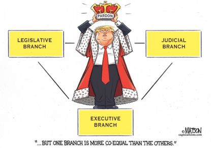 Political cartoon U.S. Trump pardon powers three branches judicial legislative executive
