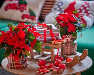 gifts on coffee table placed on a small wooden sleigh with poinsettia plants and small red apples